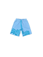 Load image into Gallery viewer, Money Talks Blue Shorts
